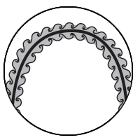 S-lock Icon